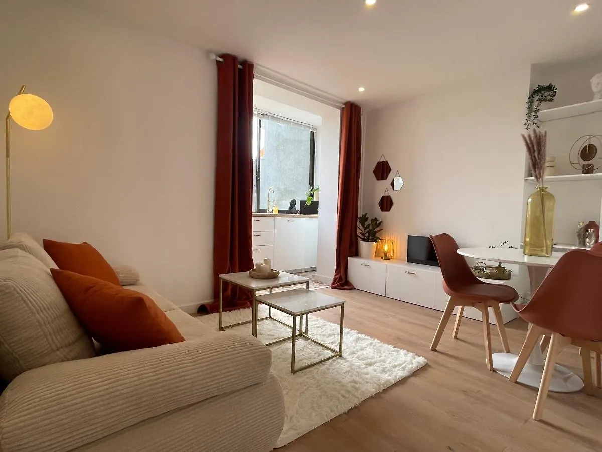 Nid Douillet Proche Capitole Apartment Toulouse France