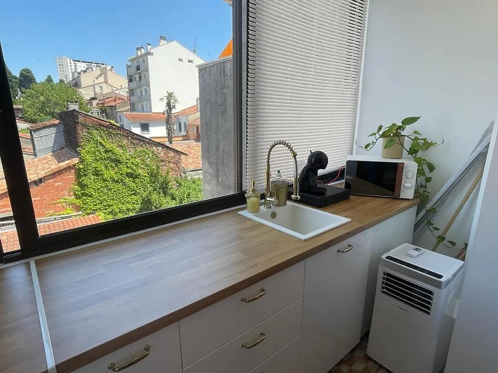 Nid Douillet Proche Capitole Apartment Toulouse